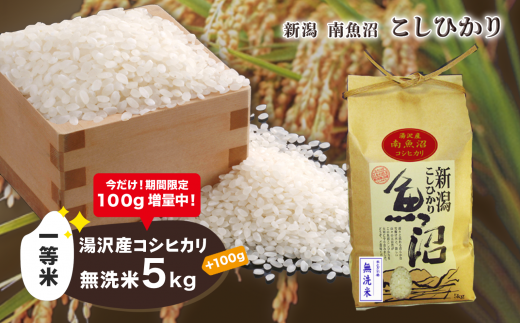 令和5年産【湯沢産コシヒカリ】＜無洗米＞5kg 魚沼最上流域 魚沼産