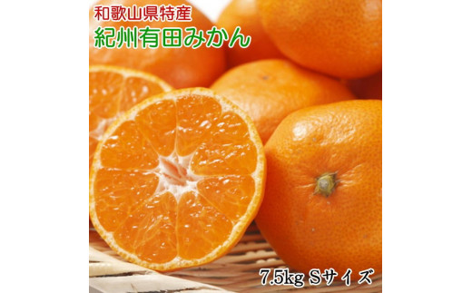 出荷時期：11月～12月中旬頃】【送料無料】和歌山県産 有田