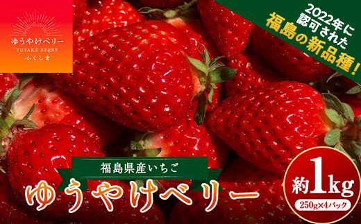 ふるさと納税「福島県 伊達市」の人気返礼品・お礼品比較 - 価格.com