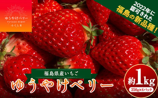 限定＞新品種のいちご 福島県 オリジナル品種「ゆうやけベリー」約1kg（250g×4パック）イチゴ 苺 フルーツ 果物 伊達市 F20C-678 -  福島県伊達市｜ふるさとチョイス - ふるさと納税サイト