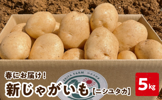 新じゃがいも、ニシユタカ 新じゃがいも（ニシユタカ）（有機圃場） 【業務用食材の仕入れなら