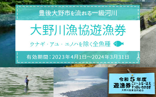 024-260 大野川漁協遊漁券 ウナギ・アユ・エノハを除く全魚種 - 大分県