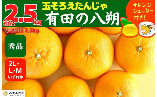 ふるさと納税「はっさく」の人気返礼品・お礼品比較 - 価格.com