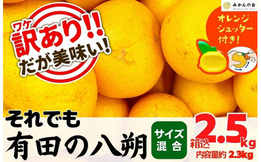 おまけ付き】訳あり 八朔(はっさく) 箱込2.5kg(内容量約2.3kg) サイズ