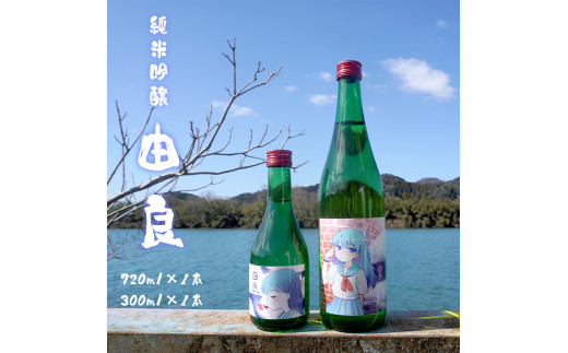 純米吟醸　2本セット 純米大吟醸2本セット(720ml×2本（各1本）): 日本盛のお酒|うるおい