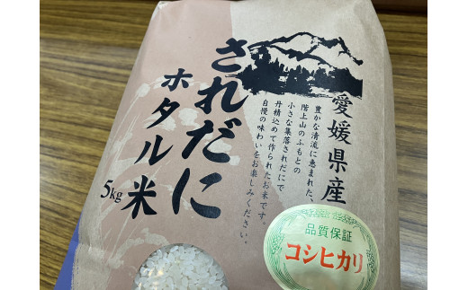 お米 5kg コシヒカリ 精米 されだにホタル米 新米 | B111 - 愛媛県伊予