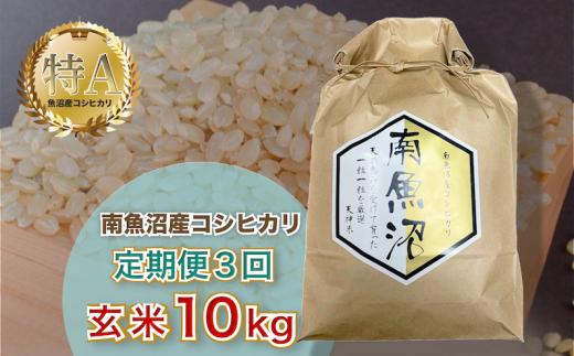 令和5年産　3ヶ月定期便 【玄米10㎏/3回】「越後湯沢産」【湯沢産コシヒカリ】