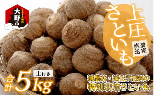 y䌧szys\zy12z㏯Ƃ 5kg _Ew엿̓ʍ͔|