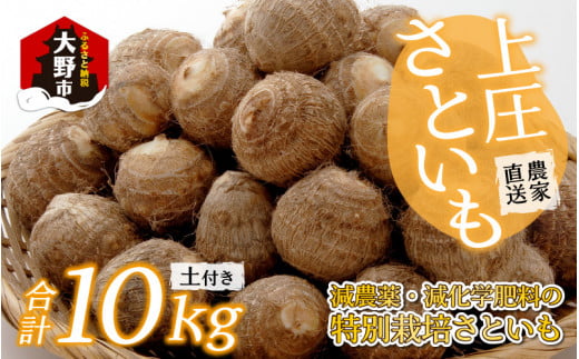 【先行予約】上庄さといも 10kg 減農薬・減化学肥料の特別栽培里芋