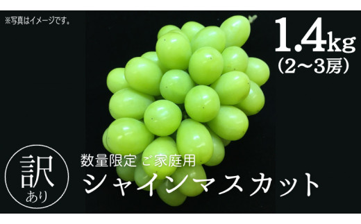 【 9月上旬から発送開始 】【 数量限定 】 ご家庭用シャインマスカット 1.4kg以上（2～3房）茨城県 県産 桜川市 訳あり 農園直送 果物  くだもの 旬の果物 旬のフルーツ シャインマスカット マスカット[BZ001sa] - 茨城県桜川市｜ふるさとチョイス - ふるさと ...