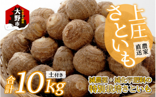 半額 50％OFFの通販 先行予約】【10月発送分】上庄さといも 減農薬・減化学肥料 10kg 野菜