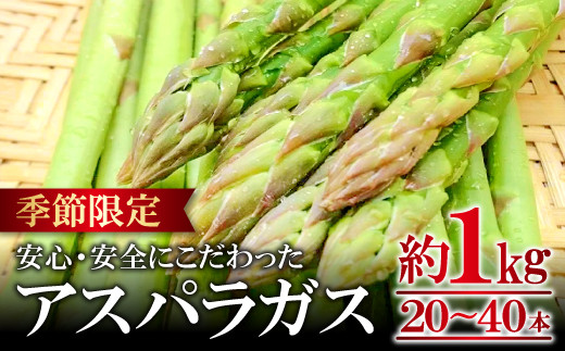 アスパラガス（約1kg）【 季節限定 アスパラガス アスパラ 約1kg 20