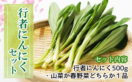 令和５年度産》行者にんにくセット（行者にんにく500g＋山菜 春野菜