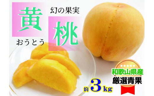 ☆9月発送☆【絶品】濃厚・幻の黄桃(黄貴妃) 約3kg - 和歌山県かつらぎ