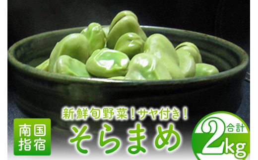 2026年3月中旬～発送】そらまめ約2kg(オネファーム/013-1012) そら豆