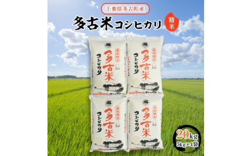 ＜令和6年産＞多古米コシヒカリ 精米20kg(5kg×4袋)【1030394】 - 千葉県多古町｜ふるさとチョイス - ふるさと納税サイト