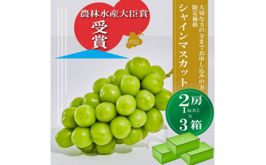 山梨県産 新鮮 美味しいシャインマスカット たっぷり4kg 収穫後直ぐに