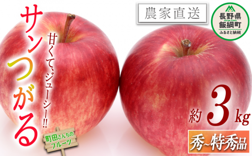 りんご サンつがる 秀～特秀3kg 沖縄県への配送不可 2023年8月下旬頃