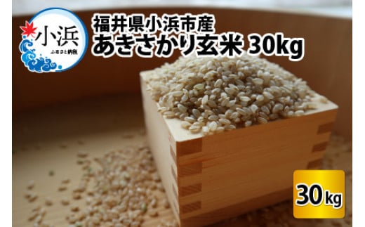 福井県産　令和4年度　コシヒカリ30kg 玄米