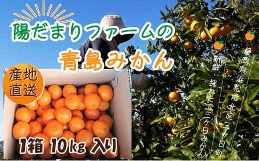 チェリー&三ヶ日青島みかん