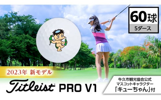 2023年 新モデル 》 ゴルフボール タイトリスト Titleist PROV1