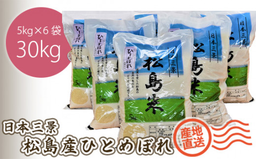 No.086 松島産ひとめぼれ5kg×6袋 ／ お米 精米 30㎏ 宮城県 - 宮城県