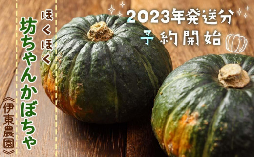 2023年発送分予約開始【ほくほく坊ちゃんかぼちゃ】《伊東農園