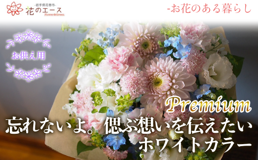 y茧Ԋszt[AWg@YȂBÂԑz`zCgJ[v~A y1521z