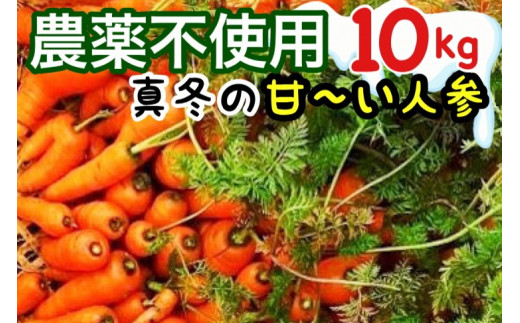 人参 10kg【期間限定】京都府・亀岡産 自然農法＆自然栽培で育てた か