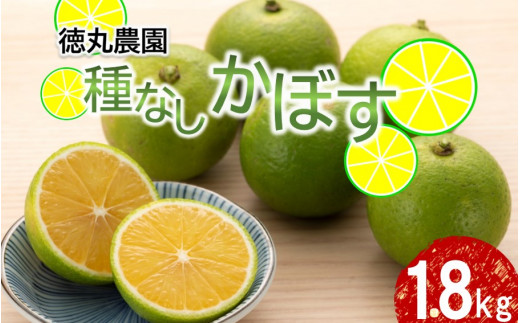 令和5年9月発送】朝霧立ち込める里からお届け！徳丸農園 種無しかぼす