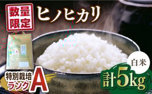 yꌧg샖zꌧY ʍ͔|AN@qmqJ5kgy܂̉z[FBO013]