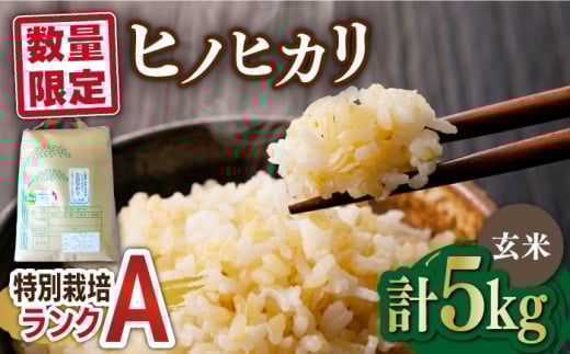 yꌧg샖zꌧY ʍ͔|AN@qmqJ5kg g샖/܂̉[FBO014]