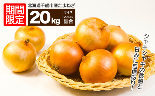 ふるさと納税「玉ねぎ20kg」の人気返礼品・お礼品比較 - 価格.com