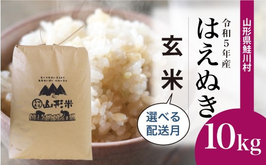 令和5年産＞ 鮭川村産 はえぬき 【玄米】 10kg （10kg×1袋） - 山形県