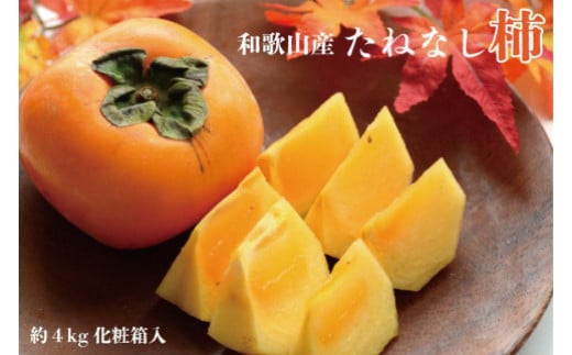 ya̎R쒬zyH̖oza̎RY˂Ȃ`2L`4LTCY4kgiϔj2026N10菇mTM192n