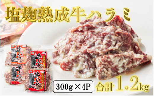 サンプル写真