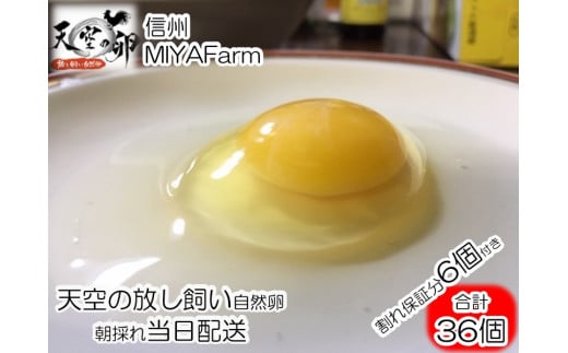 ふるさと納税】381＊信州MIYAFARM 「天空の卵」有機野菜を食べて育った