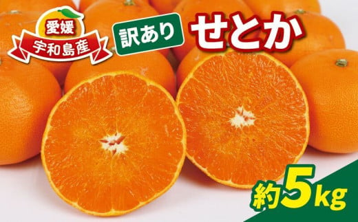 訳あり せとか 5kg マル南フルーツ 果物 フルーツ 高級 ブランド 希少 柑橘 みかん 蜜柑 国産 愛媛 宇和島 数量限定 産地直送 農家直送  B012-106023