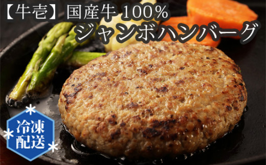 No.196 【牛壱】国産牛100％ジャンボハンバーグ3個　300ｇ×3個 ／ 挽肉 自家製タレ 大阪府