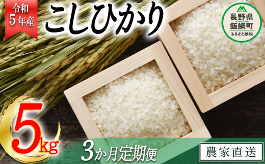 米 こしひかり 5kg × 3回 【 3か月 定期便 】( 令和5年産 ) 沖縄県への