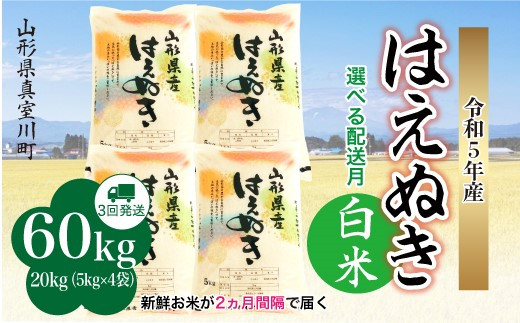 配送時期が選べて便利な定期便＞ 令和5年産 真室川町厳選 はえぬき