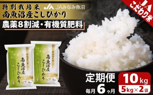 yV싛szyJA݂Ȃ݋ցzʍ͔|ē싛YЂ8i10kg×S6j _8팸 L@엿 HACCPFH Al{Yn i Â 싛