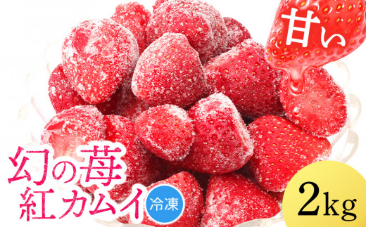 フルーツ 果物 いちご 高設栽培 冷凍 紅カムイ 2kg お菓子作り 希少 苺 イチゴ