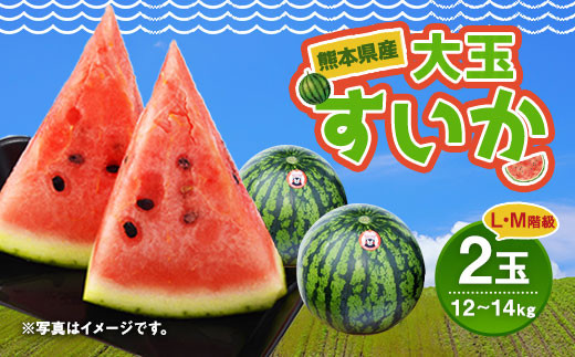 【2023年4月下旬発送開始】 熊本県産 大玉 すいか （2玉） 12～14kg L、M階級
