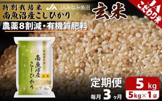 yV싛szyJA݂Ȃ݋ցzʍ͔|ē싛YЂ8āi5kg×S3j_8팸 L@엿  I Al{Yn Â 싛YRVq