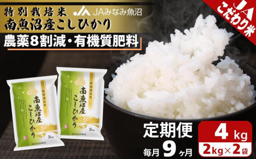 yV싛szyJA݂Ȃ݋ցzʍ͔|ē싛YЂ8i2kg×2×S9j _8팸 L@엿 HACCPFH Al{Yn i Â