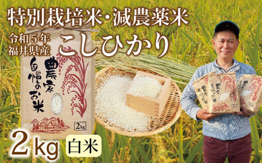 新米〉減農薬米 こしひかり 2kg ／令和5年福井県産（白米）2023年10月