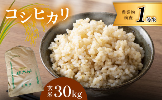 お米 コシヒカリ 玄米 30kg 真岡市産 - 栃木県真岡市｜ふるさと 