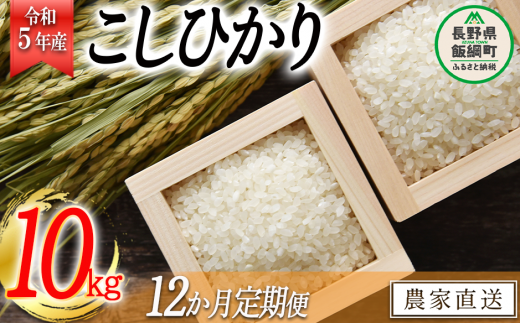 米 こしひかり 10kg × 12回 【 12か月 定期便 】( 令和5年産 ) 沖縄県