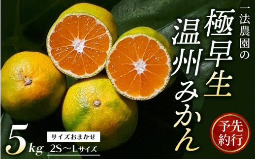 【先行予約】ご家庭用 サイズおまかせ 一法農園の極早生温州みかん 5kg 【2023年9月下旬～10月下旬までに順次発送】 / みかん 蜜柑 極早生  数量限定 温州 ミカン 先行予約 フルーツ 果物 くだもの